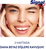 signal, diş macunu, beyazlatıcı diş macunu, diş macunu fiyatları, diş macunu çeşitleri, diş macunu satın al, signal fiyatları, signal çeşitleri, 75 ml signal, 75 ml diş macunu