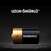 Duracell, D pil, Büyük Boy Pil, büyük pil