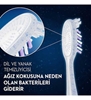 oral b, oralb, oral-b, diş fırçası, diş fırçası fiyatları, diş fırçası satın al, toptan diş fırçası, diş fırçası çeşitleri