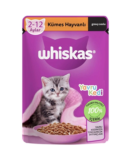 whiskas,yavru kedi maması,85 gr, tavuklu, tavuklu kedi maması, whiskas kedi maması