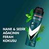 rexona, erkek deodorant, rexona Mint Fresh, rexona invisible, toptan deodorant, toptan kozmetik, 150 ml deodorant