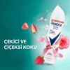 Rexona , dedodorant, Kadın deodorant, Rexona sexy bouqet, dedodorant çeşitleri, Kadın deodorantları, deodorant fiyatları, sprey deodorantlar, deodorant satın al, kozmetik, toptan kozmetik,