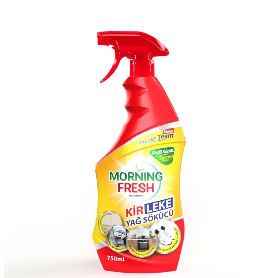 MORNİNG FRESH KİR LEKE VE YAĞ ÇÖZÜCÜ 750 ML