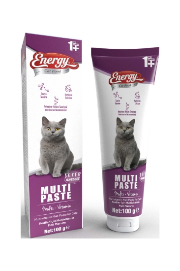 Cat Food Energy® 100 g Yetişkin Kedi Multi Paste