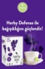 Herby Defense Tea Kara Mürver Bağışıklığa Destek Bitki Çay