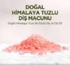 Eyüp Sabri Tuncer Diş Macunu 90 Ml - Himalaya Tuzlu