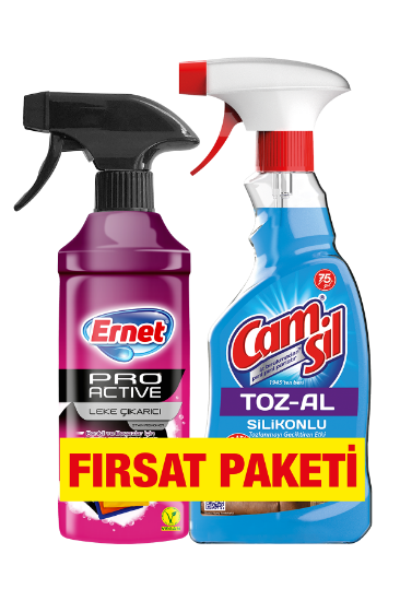 Ernet Pro Active Leke Çıkarıcı 435 ml + Camsil Toz-Al Silikonlu 500 ml