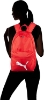 Puma Catch Backpack_II  Kırmızı Unisex Yetişkin Genç Günlük Sırt 