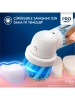 Oral-B D103 VİT PRO FROZEN KUTULU Şarjlı Diş Fırçası