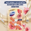 Domestos Tuvalet Bloğu Aroma Lux Yıldız Çiçeği & Ejder Meyvesi 100 gr