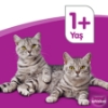 Whiskas Pouch Güveç Tavuklu Yaş Mama 85 Gr