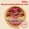 KELLOGG'S ŞEKER İLAVESİZ GRANOLA PAKETİ, TURNA YEMİŞİ, KABAK ÇEKİ