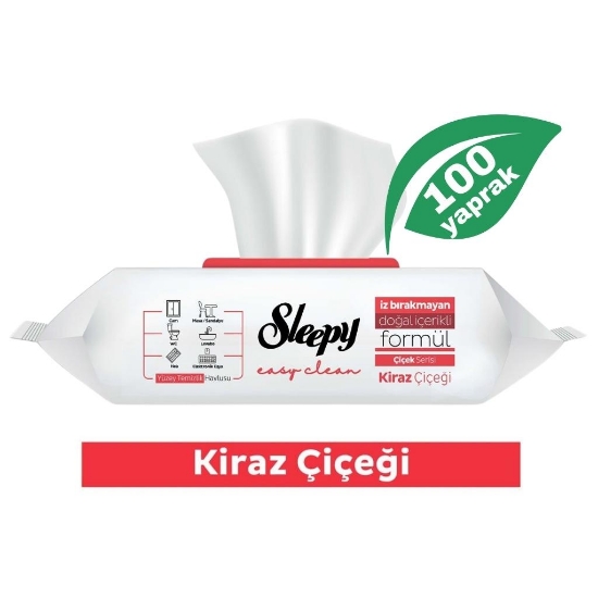 Sleepy Easy Clean Kiraz Çiçeği Yüzey Temizlik Havlusu 100 Lü